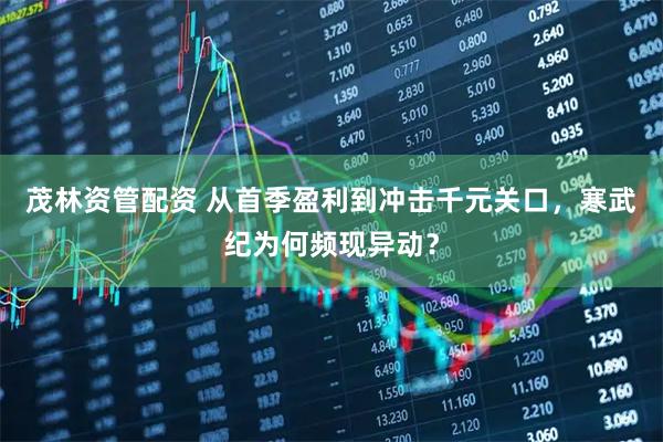 茂林资管配资 从首季盈利到冲击千元关口，寒武纪为何频现异动？