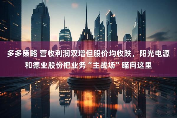多多策略 营收利润双增但股价均收跌，阳光电源和德业股份把业务“主战场”瞄向这里
