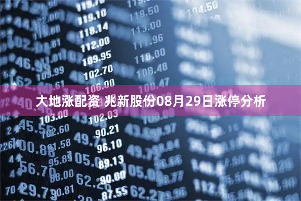 大地涨配资 兆新股份08月29日涨停分析